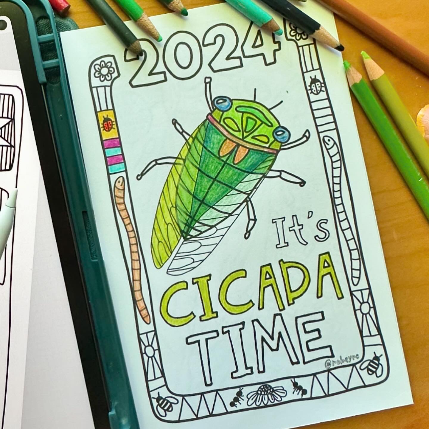 Cicada Coloring Book 2024